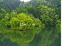 IMGP9985.jpg